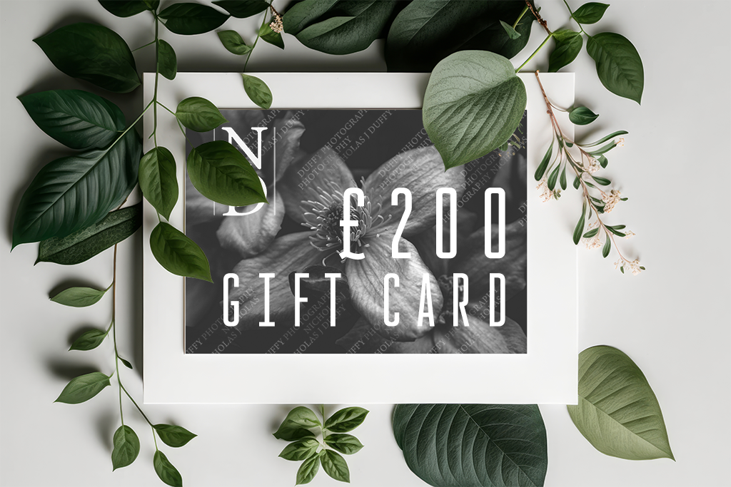 Discover the Perfect Gift: Gift Card of Home Decor