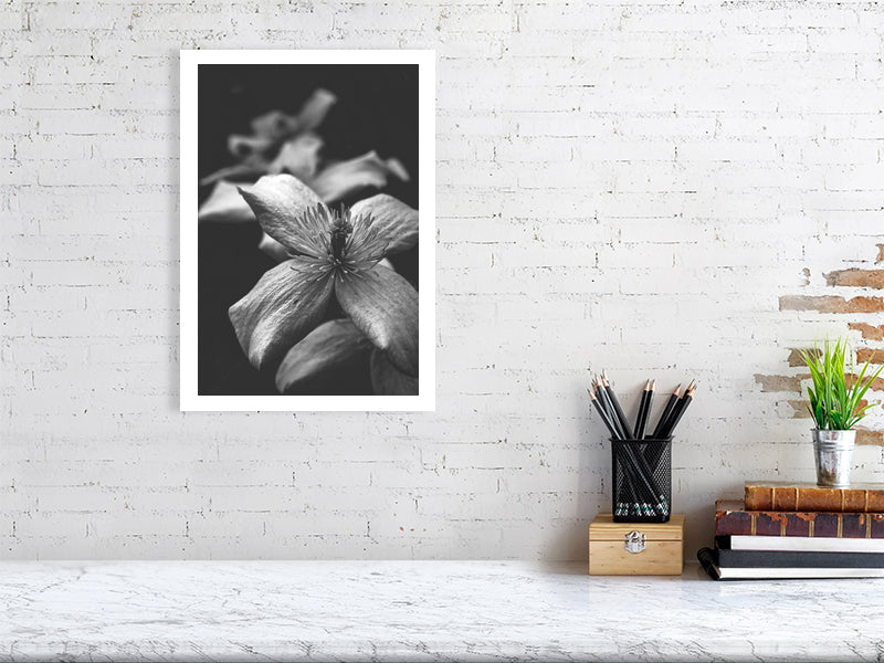 Macro nature print showcased in a template for an office setting, as it would be if purchased displayed