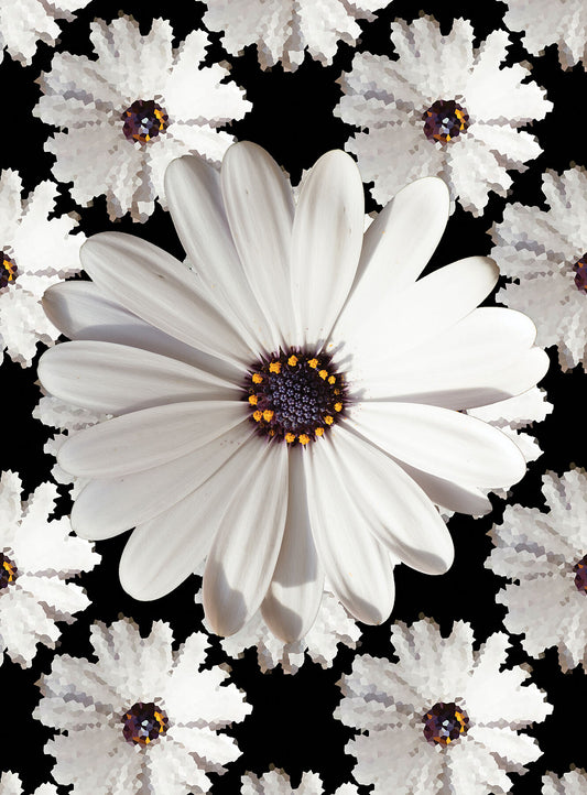 Central flower, white lone photograph cutout and secluded up against a wallpaper of flowers in a tile-like representation