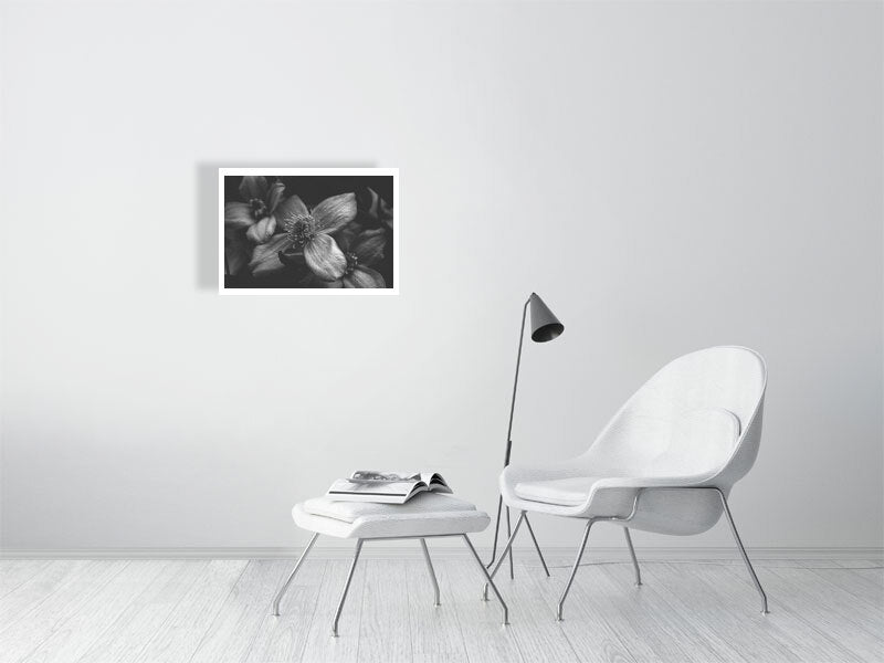 Macro nature, 2 of 3 print showcased in a template for a living room setting, as it would be if purchased displayed