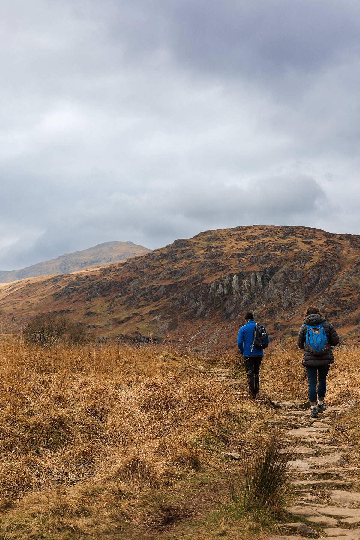 Two hickers walking along a path through fields of wild grass with a background of Snowdonias landscape. 