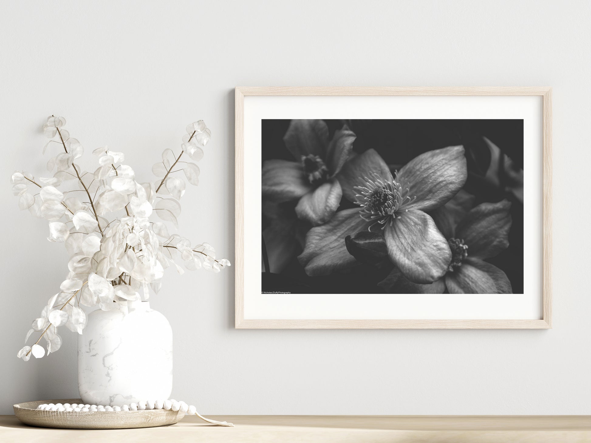 Macro nature, 2 of 3 print showcased in a template for a room setting with minimalist plants, as it would be if purchased displayed