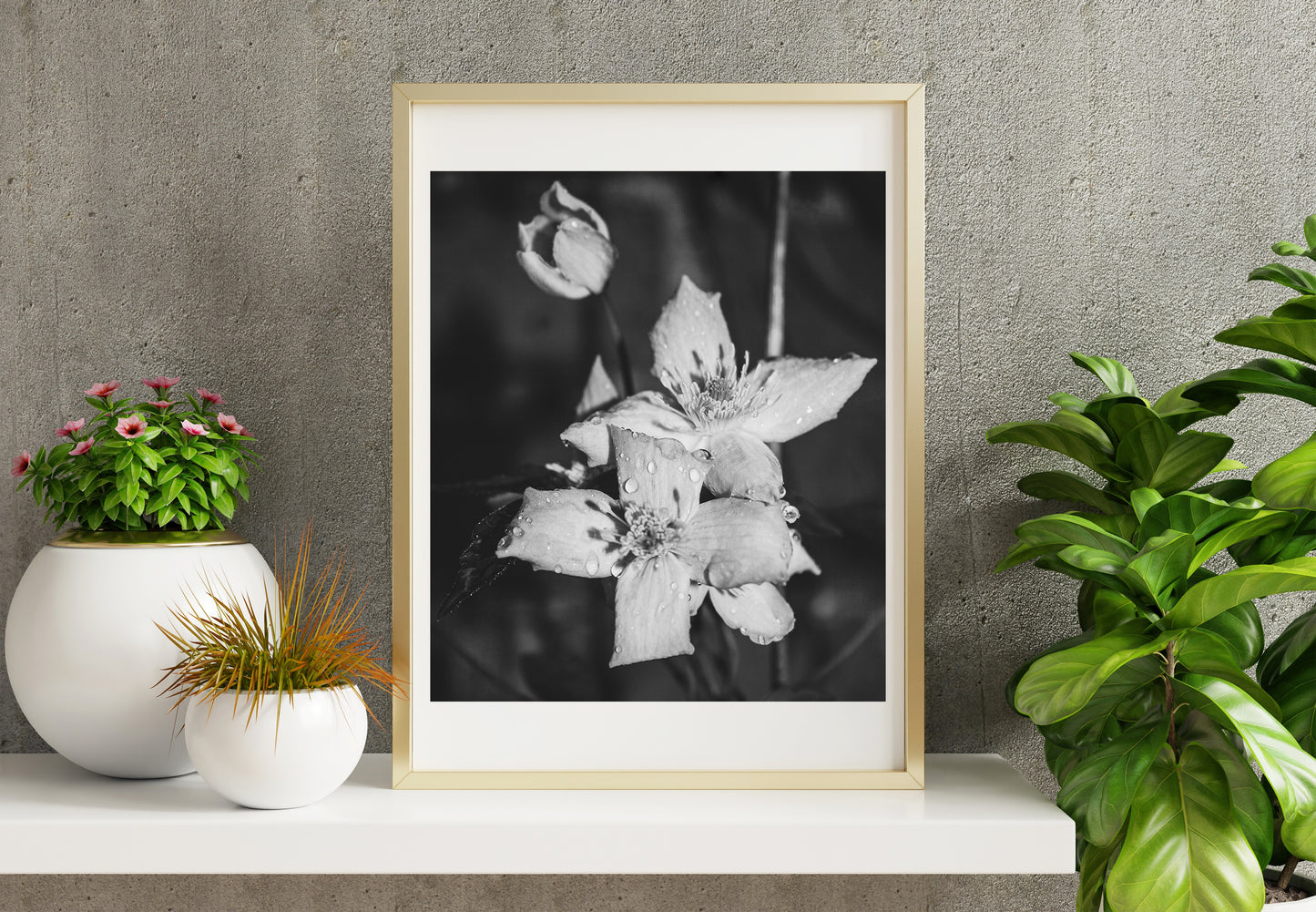 Macro print 3 of 3 on a shelf, light brown frame. Small potted plants to one side and a large green leafed plant to the right.