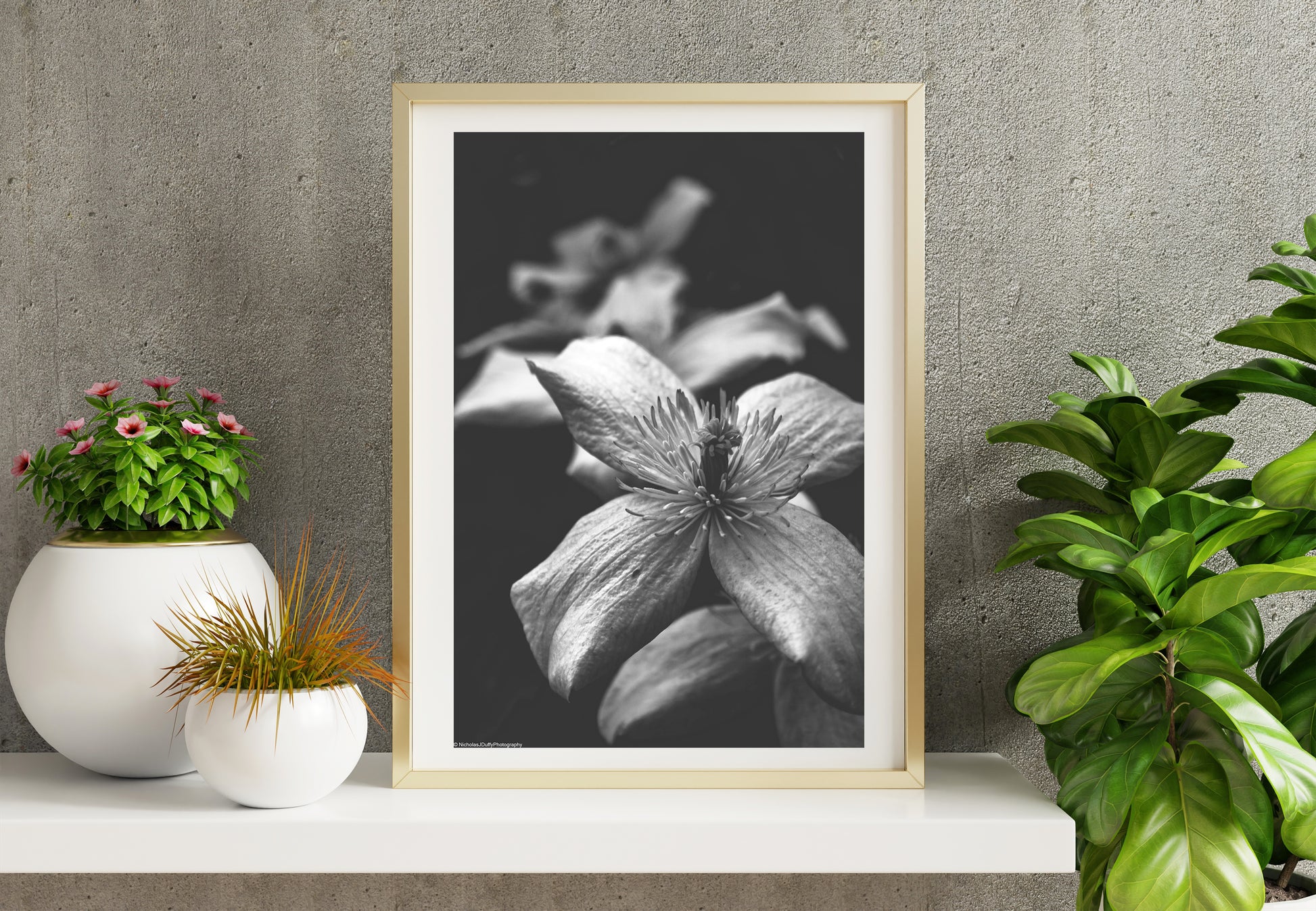 Macro nature print showcased in a template for a room setting with minimalist plants, as it would be if purchased displayed