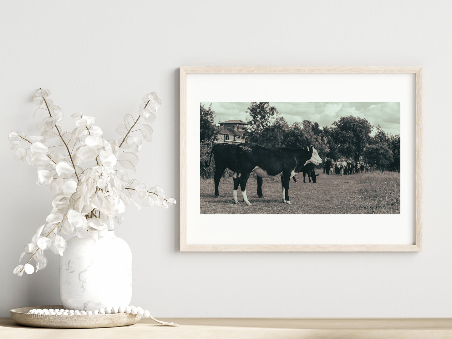 Cows vs tourists print showcased in a template for a room setting with minimalist plants, as it would be if purchased displayed