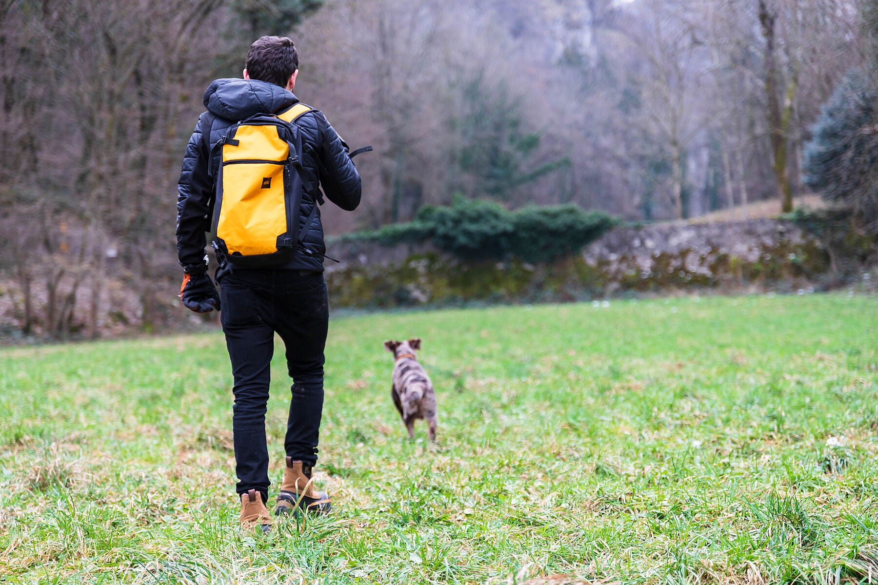 A man and a dog walking in a field amidst a forest. Wearing a bright yellow bag. A moss covered wall with overgrown bush in background, trees surrounding. 