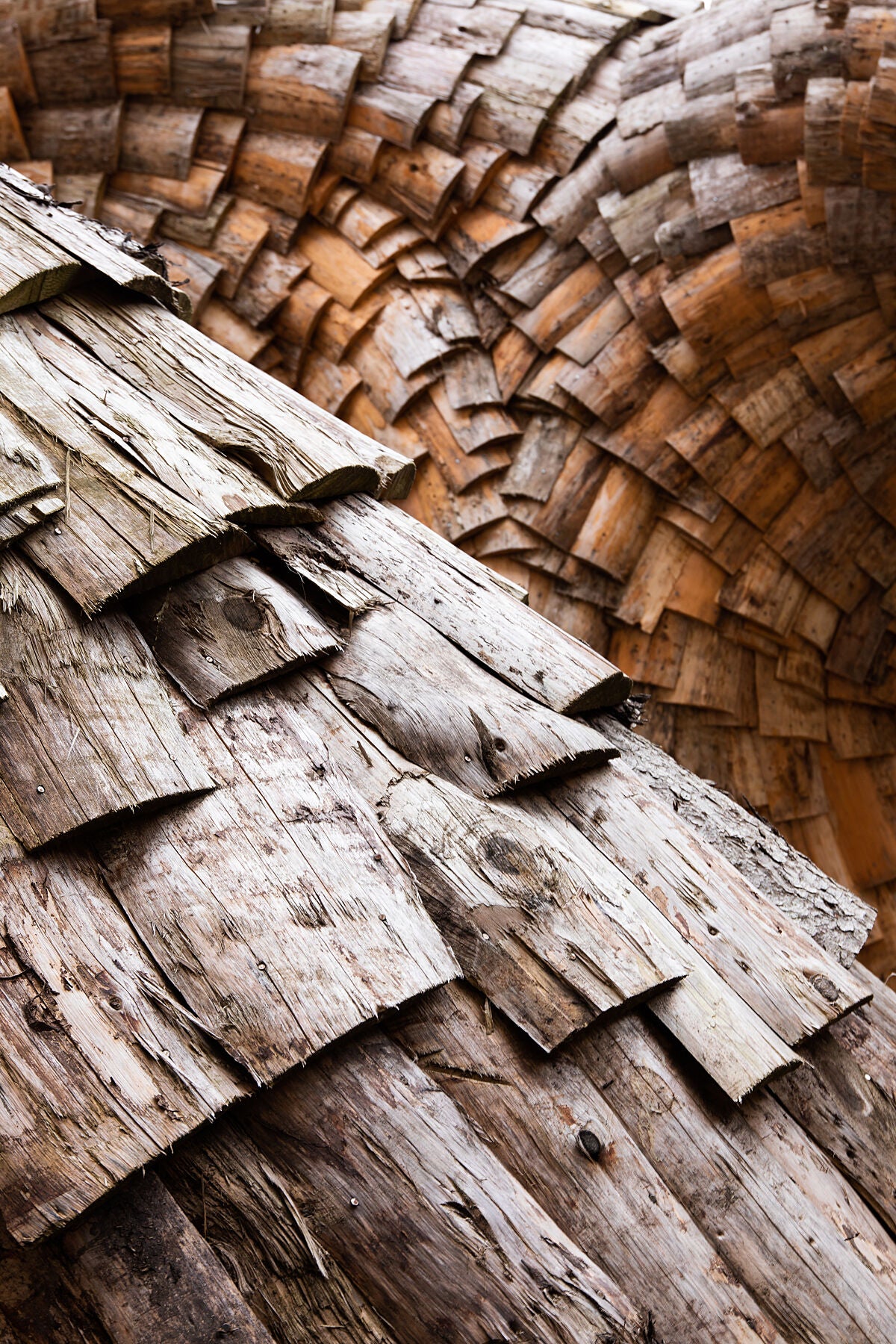 An abstract wooden sculpture. The foreground shows a weathered wooden tiled & curved arch as a closeup. The background is two intersecting curved wooden tiled arches joined in the centre. 