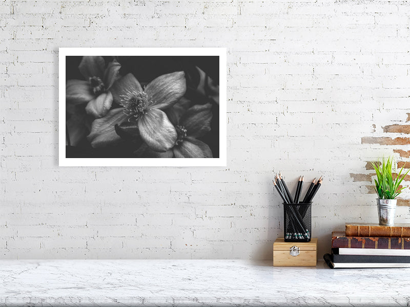 Macro nature, 2 of 3 print showcased in a template for an office setting, as it would be if purchased displayed